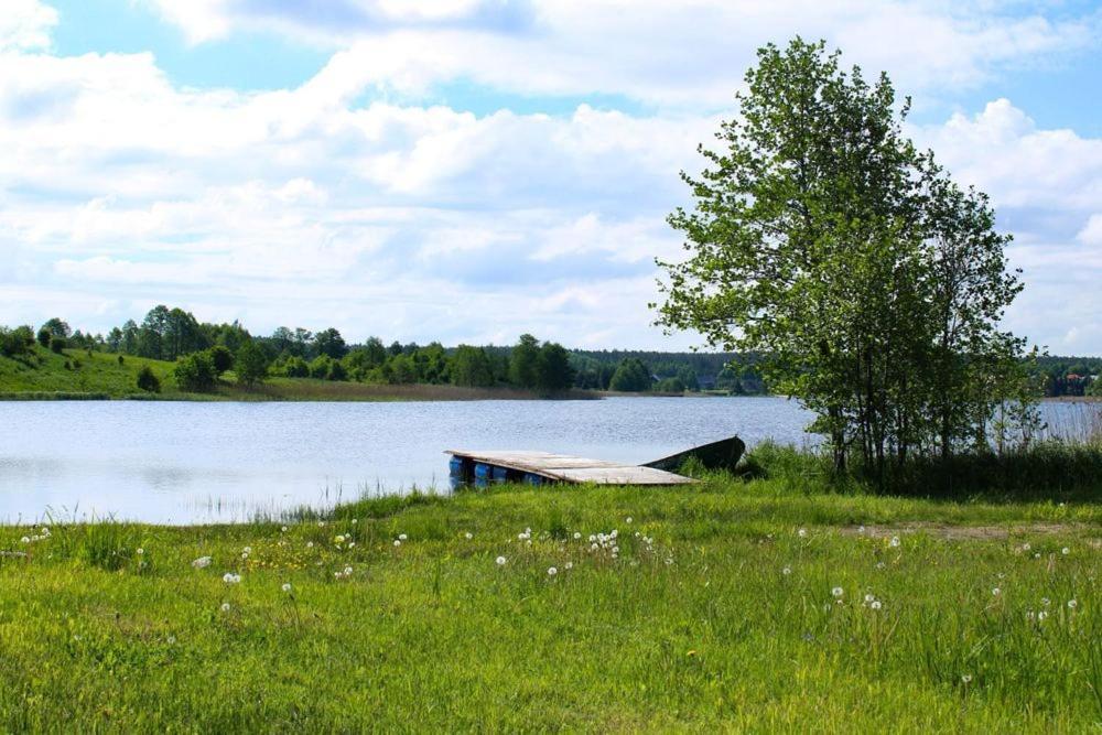 Miedzy Olchami Domek Nad Jeziorem. Noclegi Caloroczne. Cisza, Spokoj. Barczewo Eksteriør billede