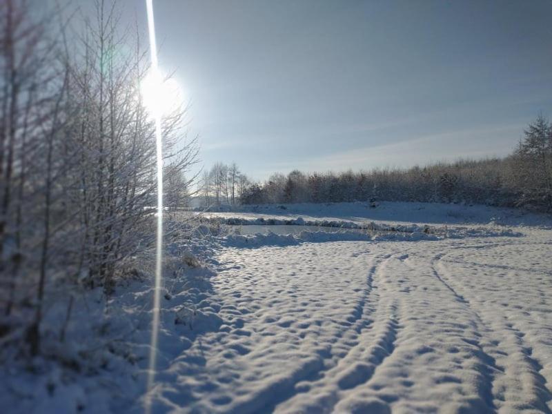 Miedzy Olchami Domek Nad Jeziorem. Noclegi Caloroczne. Cisza, Spokoj. Barczewo Eksteriør billede